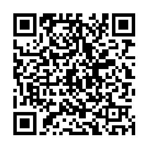 龙战带着部落的年轻的小伙子们专门跑到外面摘了一次雪果二维码生成