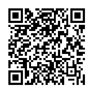 龙战拿了两块烤肉来到那两个垂着头一副要死不活的人面前二维码生成