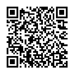 龙战放下筷子的时候准备的所有食材和调料全都光了二维码生成