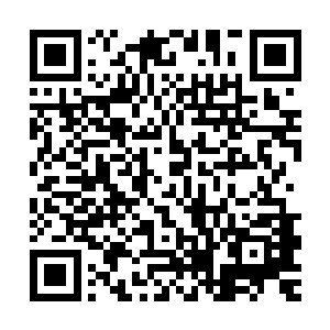 龙战身后的雪狼除了载着凌菲的那一头退后以外全都绷紧了身体二维码生成