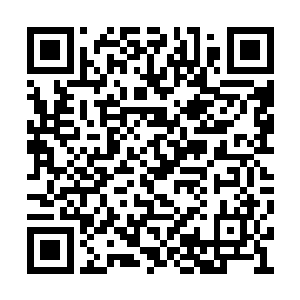 龙扬君……他们一定会遇到很多很多有趣的故事二维码生成