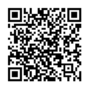 龙扬君和厉灵海领先的人类探索舰队进入帝皇古墓后二维码生成