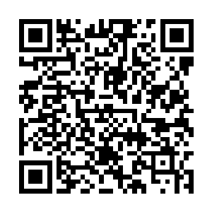 龙扬君本身是几十万年前洪荒时代的一名人族战士二维码生成