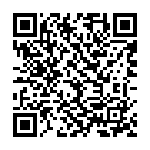 龙族不灭的生命指的就是它们的骨骼永远不会归于尘土二维码生成