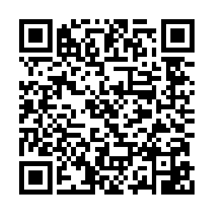 龙族曾经神道巅峰在世界变迁中最终都走向仙道二维码生成