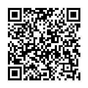 龙族的力量显然要比杨戬想象之中的恐怖了不知道多少倍二维码生成