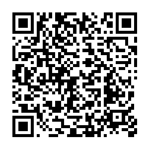 龙族的战斗力可是十分的恐怖的强大的肉身加上恐怖的天赋和神通二维码生成