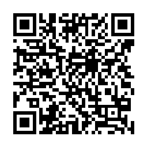 龙族的肉身强度和泰坦的肉身强度大概完全不是一个档次二维码生成