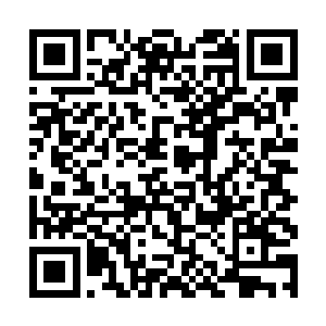 龙族血脉的序列或许比其他圣灵血脉的需要要高一些二维码生成