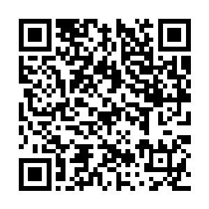 龙晓琪则是陪着马晓梅跟着一群英盟小弟去医院了二维码生成