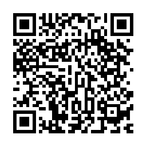 龙海市公安局在副局长薛兆国和刑侦一处处长范正法的带领下二维码生成