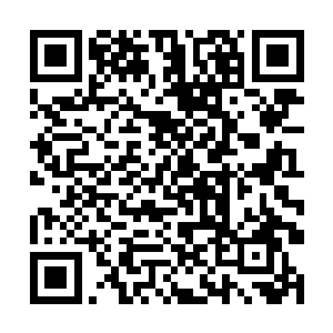 龙海市市长任海涛在和副省长李宗文献媚的说着什么二维码生成