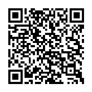 龙渊大陆上没有任何一个国家愿意单独与之对抗二维码生成