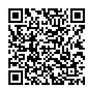 龙溪陛下等人见秘境潜力榜的四个人死的死伤的伤二维码生成