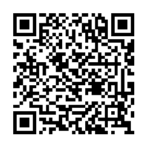 龙潜当时就被连头都没有回一下的杜遥气得肝疼二维码生成