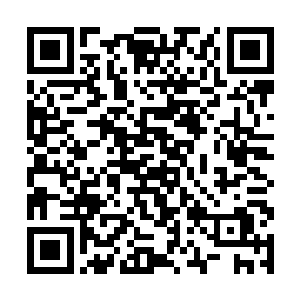 龙王大人虽然说是谁拿了他的头颅谁就是下一任龙王二维码生成