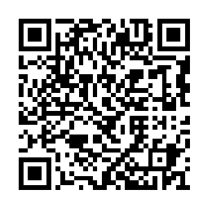 龙王差不多也有着四年的时间没去找过圣女娑娜二维码生成