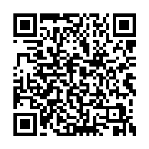 龙王灵力再一次的在欢喜哥的身体里发挥了作用二维码生成