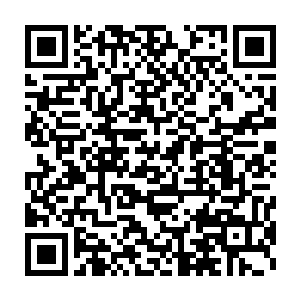 龙王等人的事情路易斯二世身为圣庭的教皇想要了解也是很简单的二维码生成