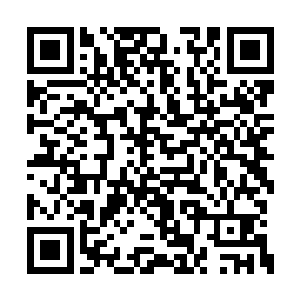 龙王还将那些被驱逐出去的龙族也全都找了回来二维码生成