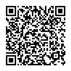 龙王都想让娑娜到时候也跟着小龙一起住进路易斯二世安排的地方二维码生成