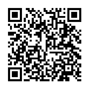 龙王顿时一把抱住了苏凡的肩膀就朝着饭店里面走去二维码生成