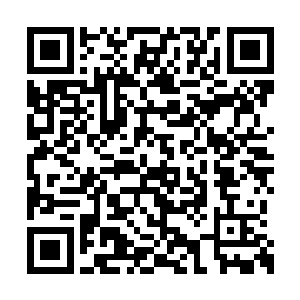 龙皇一听自己原本的亲传弟子乃是被龙耒阳暗算二维码生成