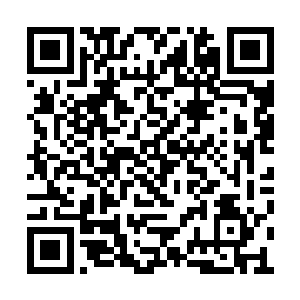 龙皇对于韩风干掉龙初太这件事再无任何愤怒了二维码生成