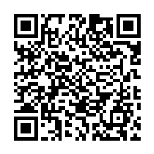 龙皇神殿长老会的五位长老和两位总护法现在都忙于修炼二维码生成