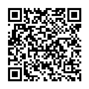 龙皇还会经常来但几百年过去仍旧没有韩风出来的迹象二维码生成