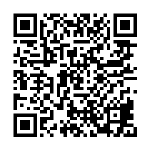 龙皇还未来得及收回的龙尾立刻被韩风双手抓住二维码生成