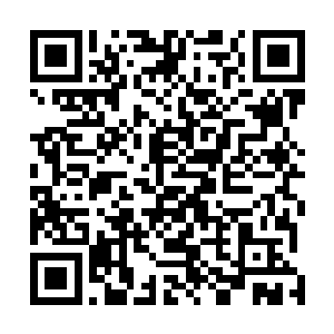 龙皇阁这三个字好像对姜若馨与姬月蓝来说似乎很不一般二维码生成
