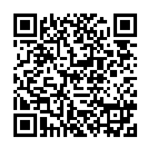 龙知去找龙北的时候龙野已经把一大堆的东西收拾好二维码生成