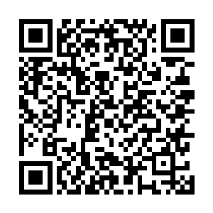 龙祖也不会放任北海龙主改变四海格局进而影响妖族平衡二维码生成