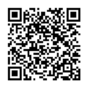 龙祖和凤祖终于决定用他们之间的决斗来结束这场战争二维码生成