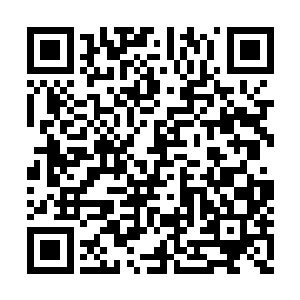 龙羽感觉到的那股锥心刺骨的寒意顿时消失无踪二维码生成