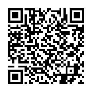 龙羽的耳朵仿佛随着骰子的声响而轻轻动弹了一下二维码生成