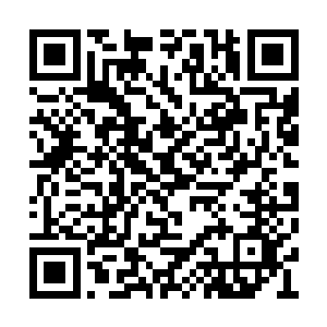 龙羽的视线很快便被电脑屏幕上的照片给吸引了二维码生成