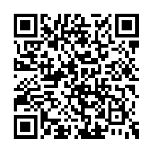 龙羽音那绝美的脸颊上流露出了深深的痛苦之色二维码生成