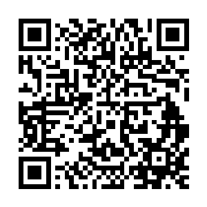 龙老蔫和马菊芳则是迫不及待的想看看这个闺女到底长得啥样二维码生成