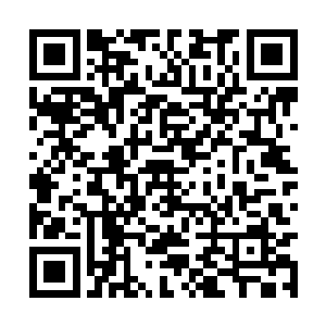 龙肆天不知道如果自己站在墨皇的位置上会怎么做二维码生成