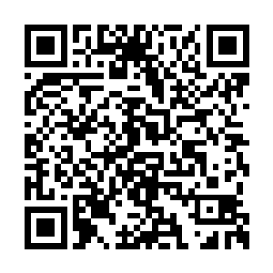 龙脉更精纯的龙族在面对血脉次于自身的族人时二维码生成