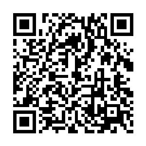 龙腾二长老华行云和四长老白洪喜正在说着什么二维码生成