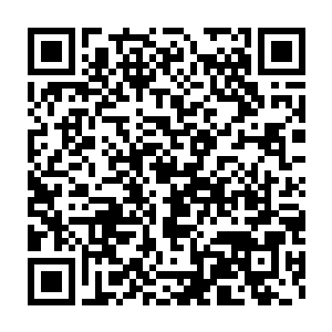 龙芍姐姐当心他们小五德共鸣……不过这样就算能抵挡我们一艘舰二维码生成