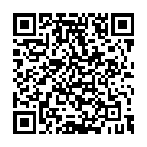 龙英杰决定要教训一下这个不知天高地厚的家伙二维码生成