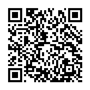 龙莲子将90%的计算力都投放到自己不死不休的宿敌二维码生成