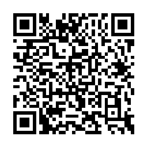 龙虎门的圣王把秦皇国的护国国师打成这般摸样二维码生成