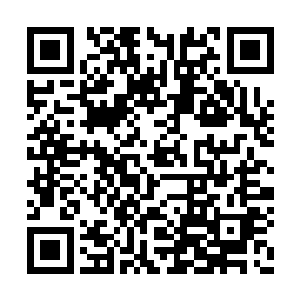 龙血妖兽的妖灵以及其他种种对修炼擅长的东西二维码生成