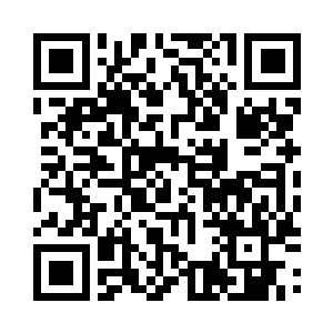 龙观在开始伸出的是一记标准咏春桥手的功夫二维码生成