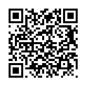 龙象法王是不可能战胜李无花的……二维码生成